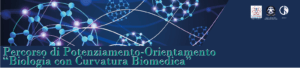 Banner potenziamento biomedico
